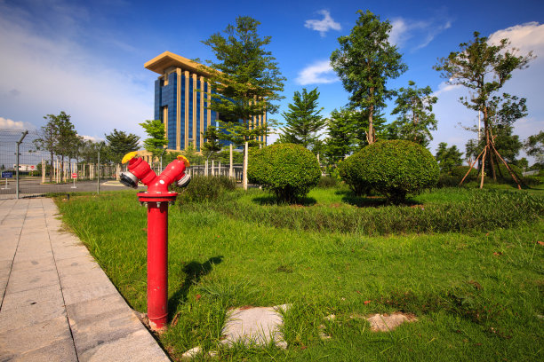 绿色田野上的红色图片下载