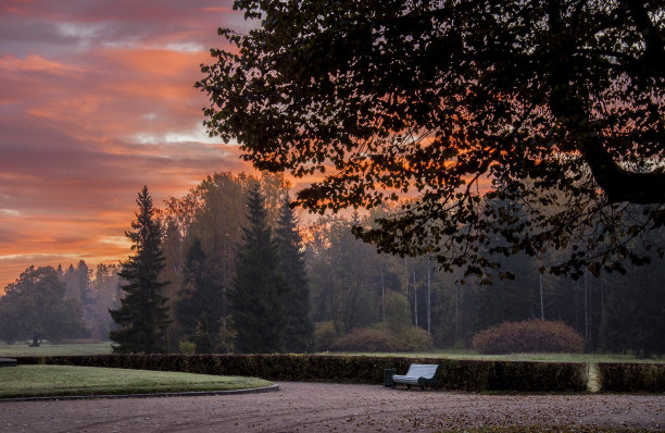 早期的黎明图片下载