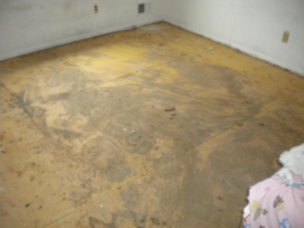 地毯下面的污物一个接一个地被拔掉图片下载