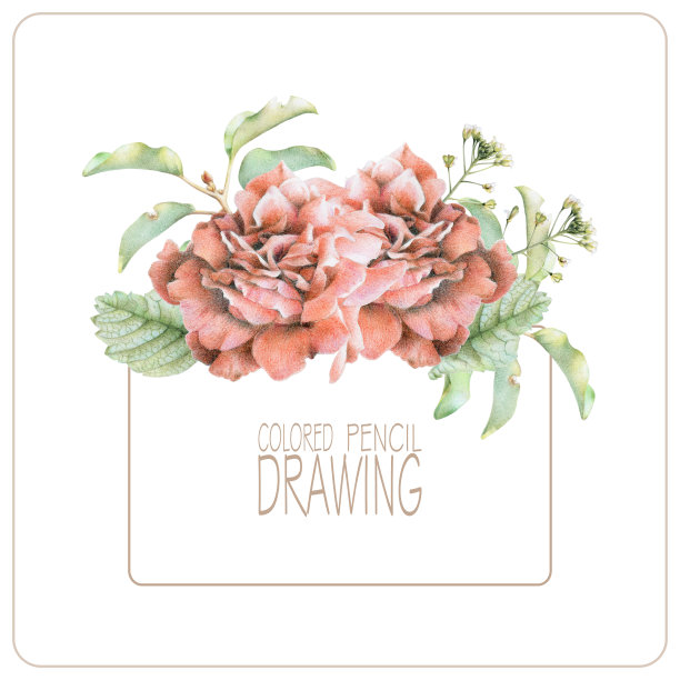 背景有美丽的春天花草图片下载