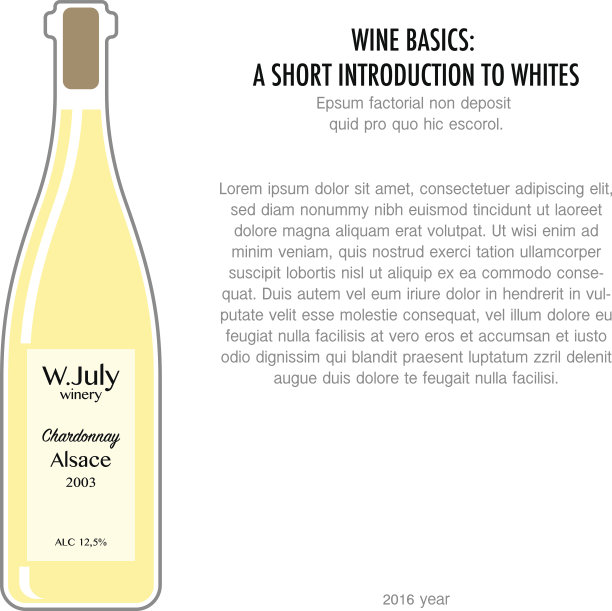 瓶白葡萄酒在单一风格孤立的背景图片下载