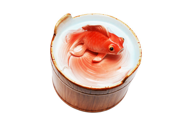 亚洲鲤鱼容器图片下载