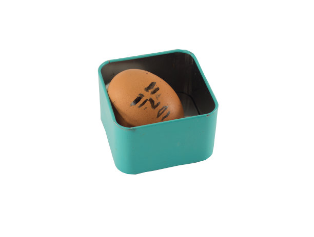 沉睡的棕色的鸡蛋图片下载