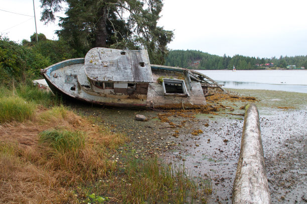 废弃的船图片下载