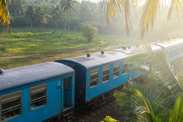 火车在丛林图片下载