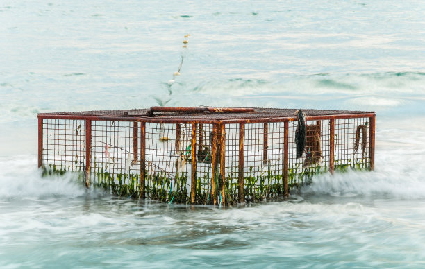 海里的笼子图片下载