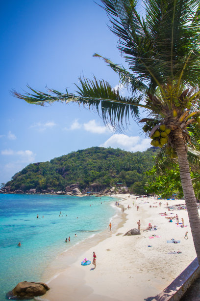 泰国苏梅岛的热带海滩图片下载