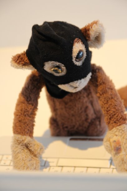 猴子犯罪分子入侵电脑图片下载