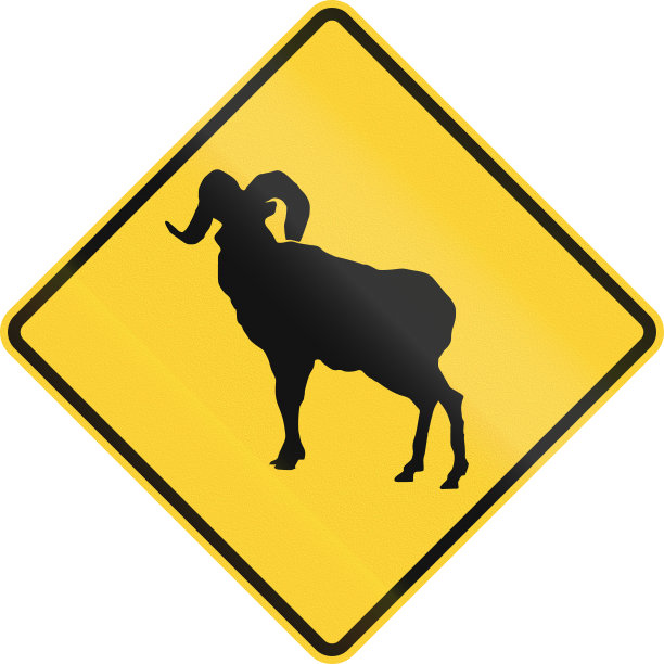 大角羊穿越图片下载