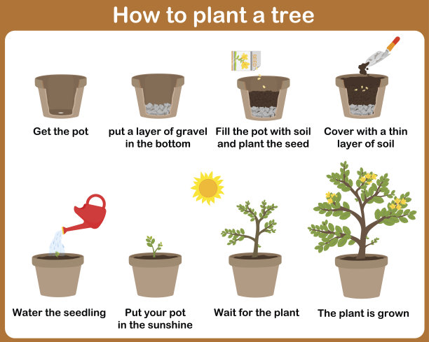 如何种植植物。图片下载