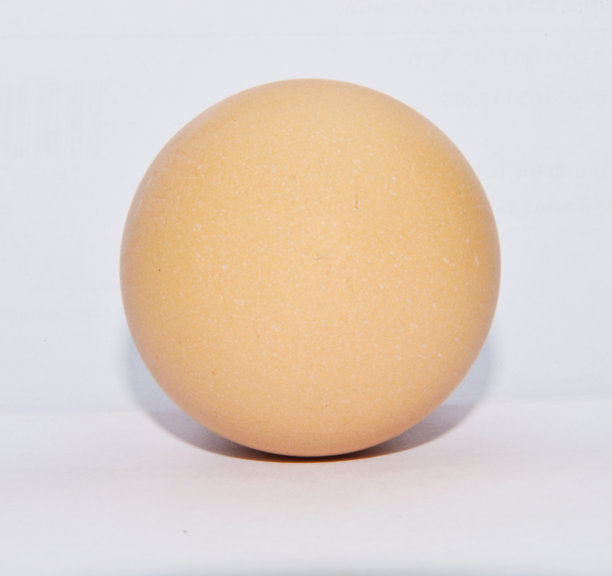 单只棕色鸡蛋图片下载