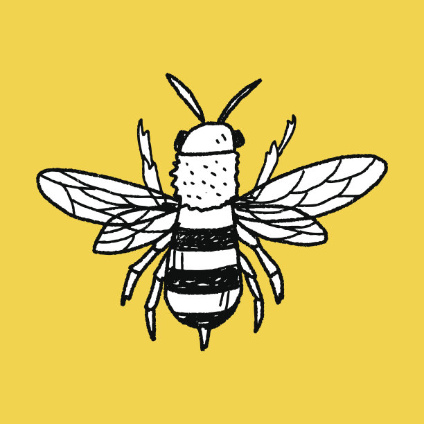 蜜蜂涂鸦图片下载