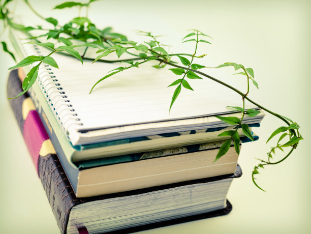 一堆书，笔记本和藤蔓图片下载