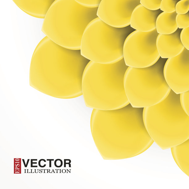 贺卡或背景用黄色的花图片下载