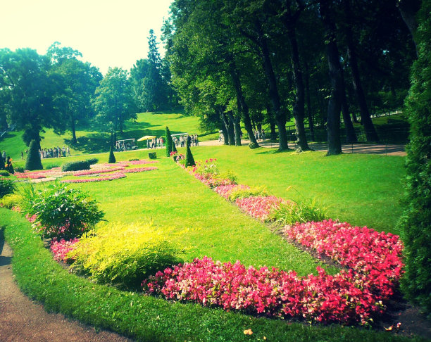 花园:五彩缤纷的花坛图片下载