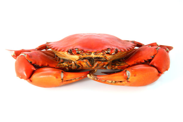 清蒸螃蟹图片下载