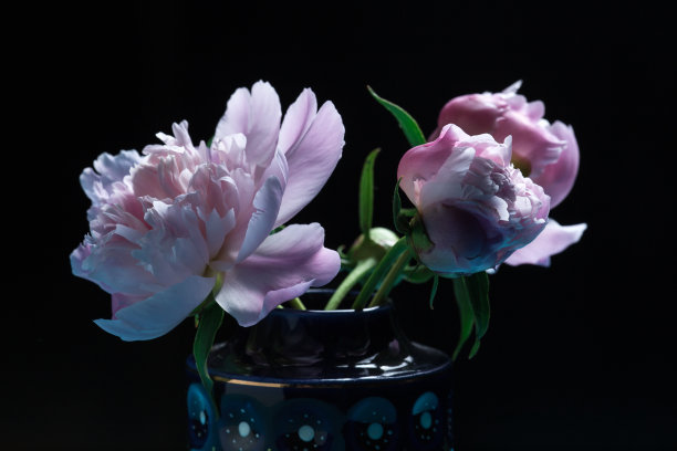 花瓶和花图片下载