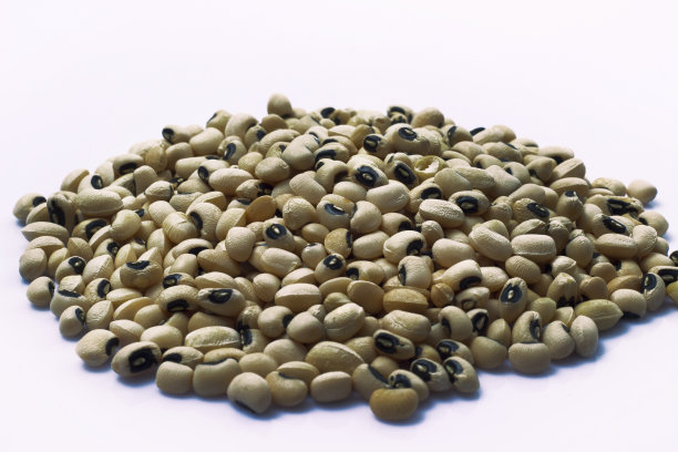 黑眼豆豆1号图片下载