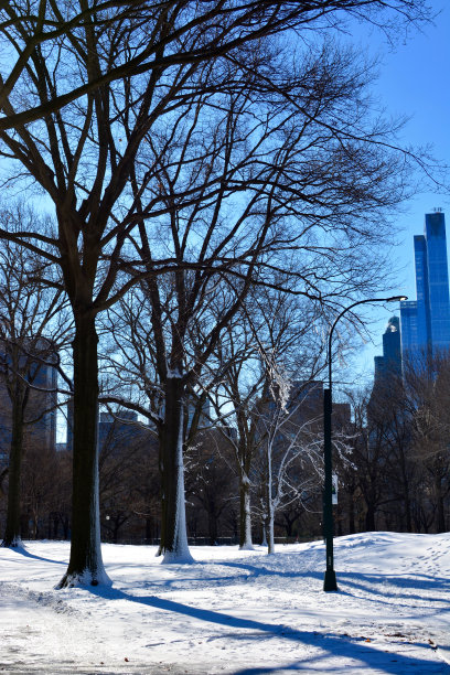 纽约市曼哈顿中央公园冬天下雪图片下载