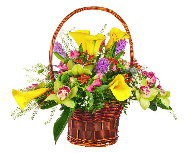 花束排列在柳条篮子里，孤立在白色的杆子上图片下载