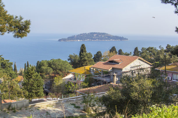 Buyukada岛上的地产背景景观视图图片下载