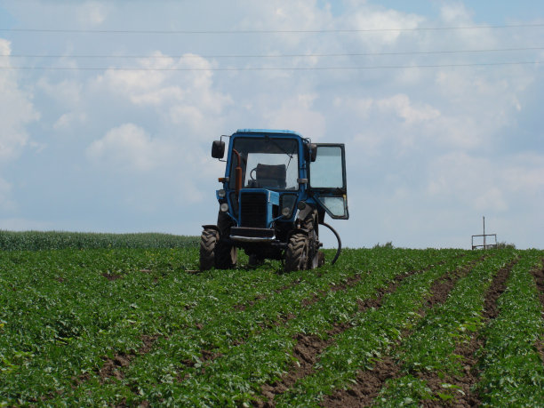 拖拉机在马铃薯地里图片下载