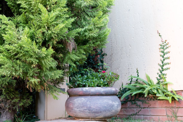 园林设计图片下载