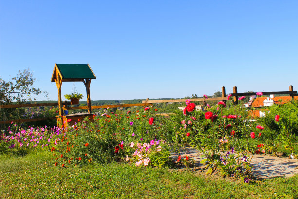 花园里的木井图片下载