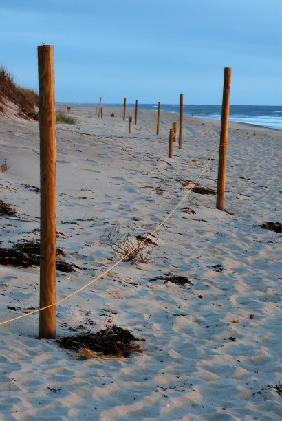 海滩上的黎明图片下载