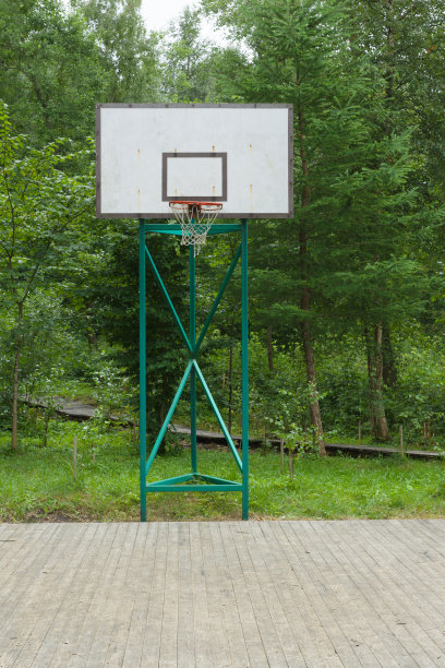 树林里的篮球台图片下载