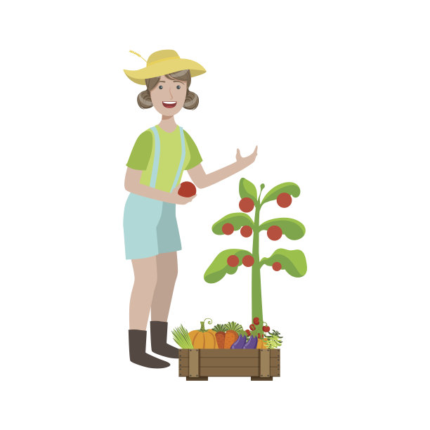 一个女人在花园里采摘成熟的西红柿图片下载