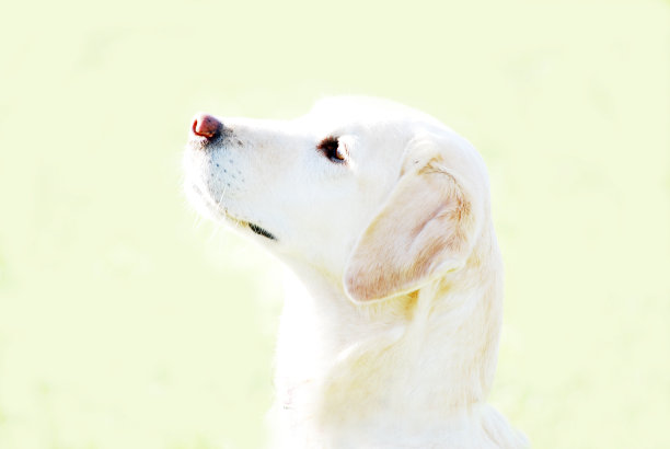 曝光过度图片下载