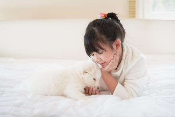 一个亚洲女孩在床上和一只西伯利亚哈士奇小狗玩耍图片下载