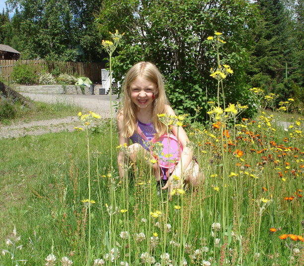 花中的脸图片下载