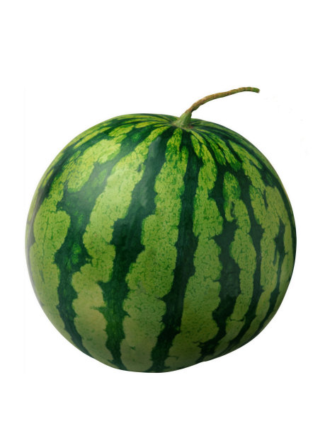 成熟的绿色的西瓜图片下载