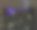 现代建筑图片下载