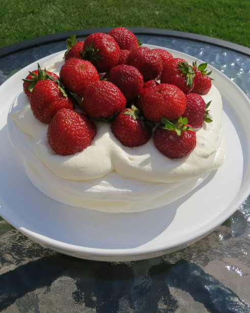 巴甫洛娃图片下载