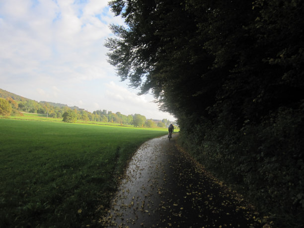 秋天的落叶图片下载