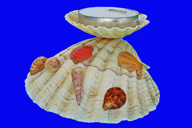 贝壳烛台图片下载