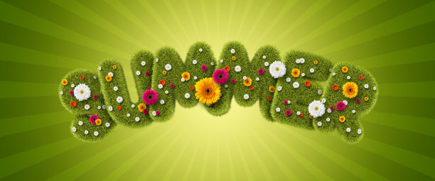 夏天的草和花图片下载