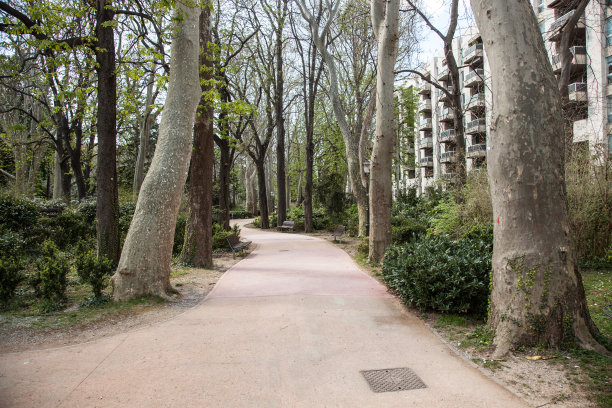 公园里雅斯特图片下载