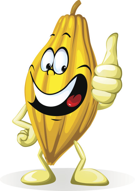 白色上分离的可可荚插图特征图片下载