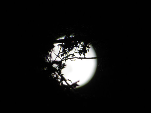 聚光灯下的月亮图片下载