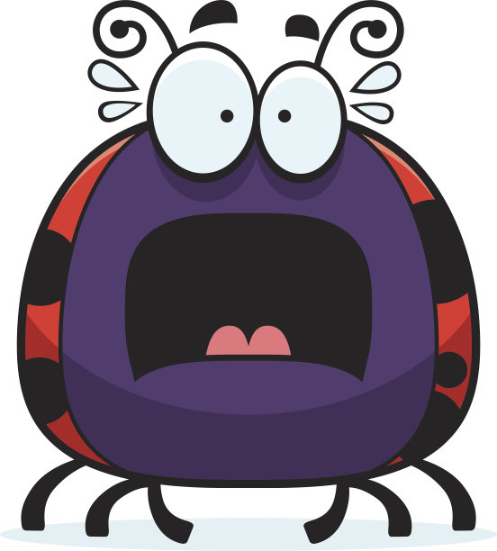 害怕小瓢虫图片下载