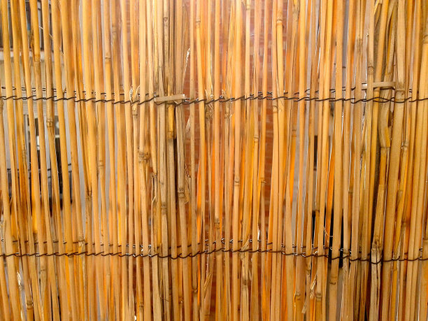 甘蔗墙图片下载