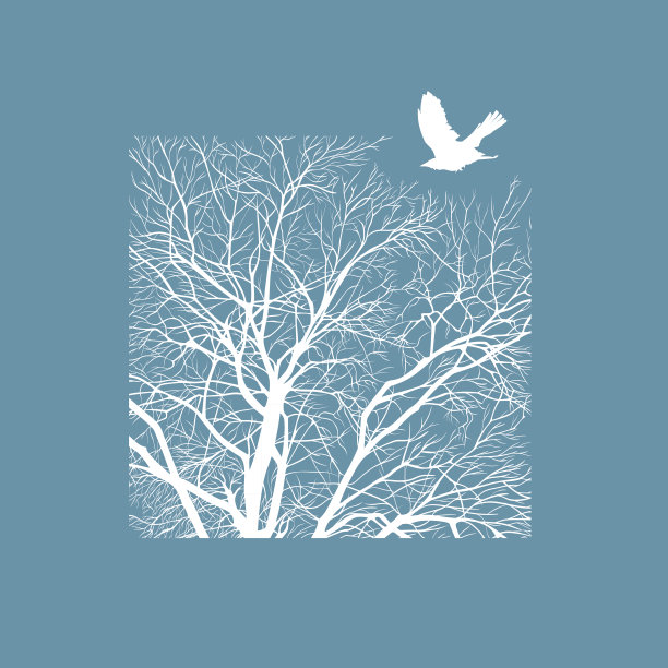 冬天的树在广场上图片下载