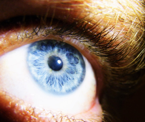 蓝色眼睛的特写图片下载