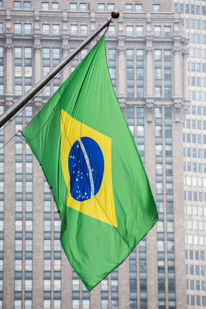 纽约公园大道上的巴西国旗图片下载