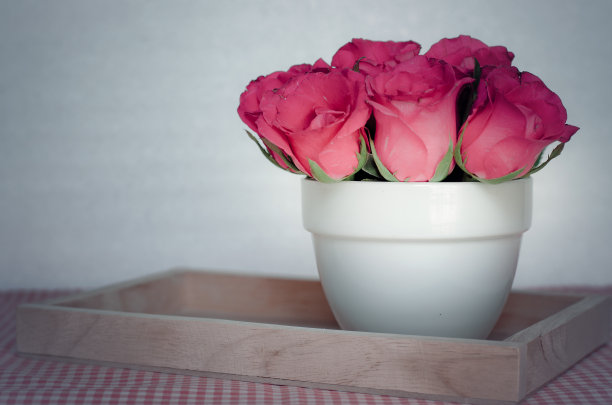 复古的玫瑰图片下载