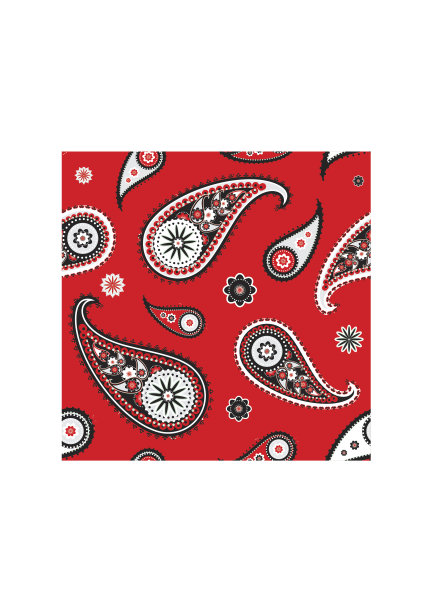 佩斯利图片下载